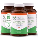 Cryptolepis Synergy, Vitamines de soutien immunitaire, Système immunitaire Booster pour adultes, foie, Lymphatique, et supplément de soutien immunitaire, soutient Lyme et la défense naturelle parasite, 120 Capsules, 3 Pack