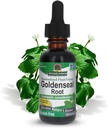 Het antwoord van de natuur Goldenseal Root 