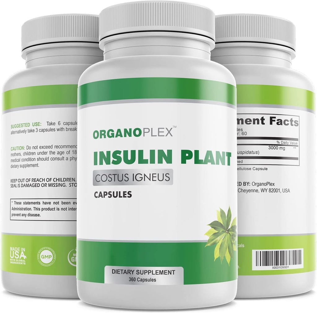 Insuline Plant Capsules (Costus Igneus), 100% natuurlijk supplement, 360 Veggie Caps (2 maanden voorraad) - Insuline Plant