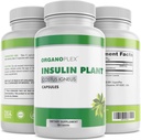 Insuline Plant Capsules (Costus Igneus), 100% natuurlijk supplement, 360 Veggie Caps (2 maanden voorraad) - Insuline Plant