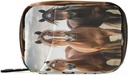 Cheval Pill Organizer Case Portable Weekly Daily Pill Case Bag Organizer with Zipper for Suppléments Medicine Travel Family Business