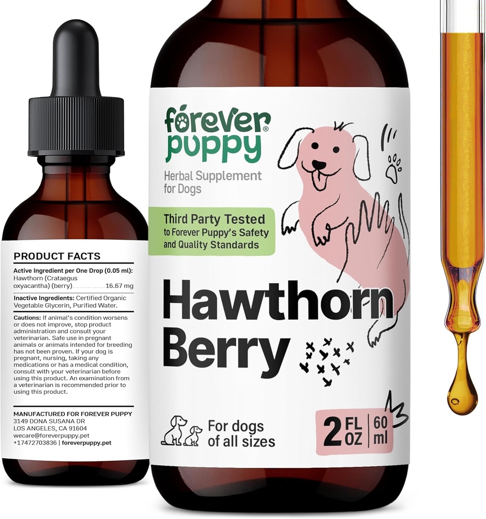Pour toujours Puppy Hawthorn Berry gouttes pour chiens - Antioxydant soutien Teinture pour chiens avec/Hawthorn Berry - Supplément de santé cardiaque liquide pour animaux heureux - Pas de conservateurs et de couleurs artificielles - 2 oz