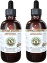 American Ginseng Alcoholvrije Liquid Extract, Ginseng (Panax Quinquefolius) Gedroogde Wortel Glycerite Hawaii Pharm Natural Kruidensupplement 2x4 oz