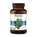 Himalaya Organic Mucuna Pruriens, 60 jours d'approvisionnement - supplément à base de plantes pour calmer la relaxation de la tension et promouvoir la fonction cérébrale - végétalien, non-OGM, sans gluten, 600 mg, 60 capsules