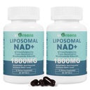 Liposomale NAD+ Supplement 1800 mg met Nicotinamide Riboside, Trans Resveratrol, Trimethylglycine,Vervangt NMN, Boost NAD+, Veroudering Verdediging, Cellulaire Energie, 120 Softgels