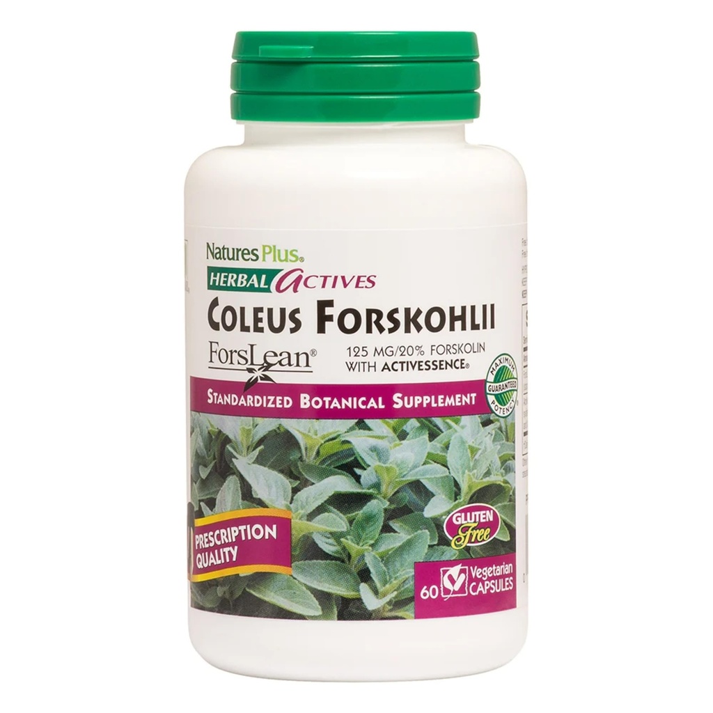NaturesPlus Herbal Actives Coleus Forskohlii - 60 Vegetarische Capsules - Glutenvrij - 60 porties