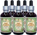 PAU d'arco (Tabebuia Impetiginosa) Glyceriet, gedroogd Bark Alcoholvrij Liquid Extract (Grote naam: HerbalTerra, Trots Made in USA) 5x2 fl.oz (5x60 ml)