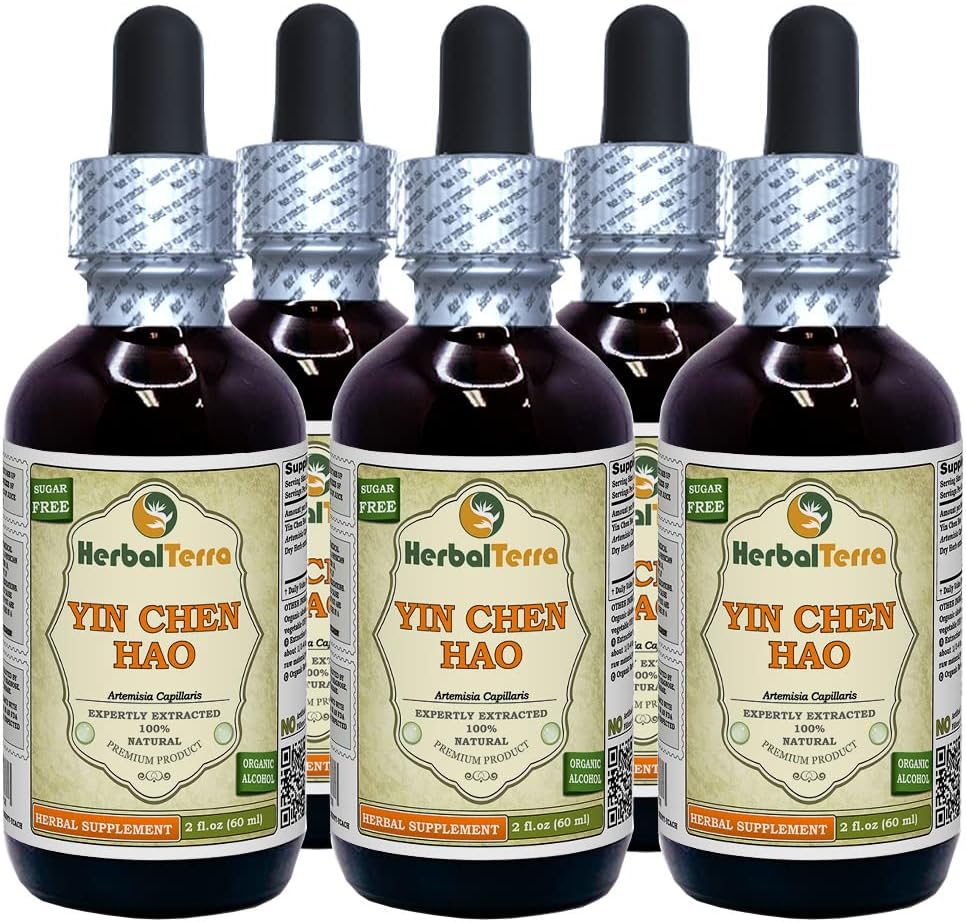 Yin Chen Hao (Artemisia Capillaris) Tinctuur, Biologische Gedroogde Kruidenvloeistof Extract (Grote Naam: HerbalTerra, Trots Made in USA) 5x2 fl.oz (5x60 ml)