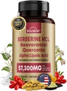 Premium Berberine Supplement met Resveratrol Quercetine Alpha Lipoïnezuur - 50:1 Berberine HCl Complex Krachtige antioxidanten, Polyfenolen, Vitality Boost - 90 Vegan tabletten, Non-GMO, Glutenvrij