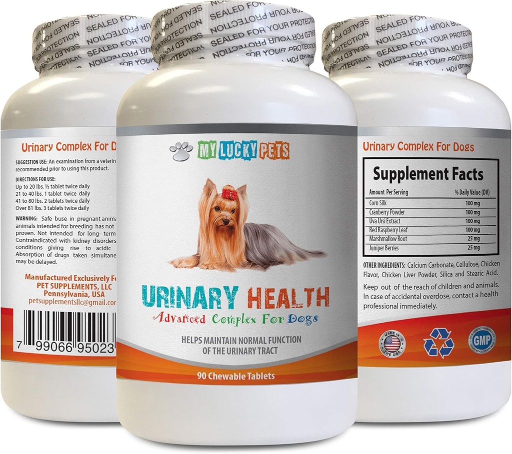 Incontinentie van de urine van de hond - Urinaire gezondheid van de hond Formule - Helpt met Incontinentie en Blaasproblemen - Immune Boost - Corn Silk Capsules voor honden - 1 fles (90 Treats)