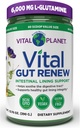 Vital Planet - Vital Gut Renew Powder Supplément pour la réparation de Gut avec L-Glutamine, Marshmallow et Ginger Root, DGL Racine de réglisse et Aloe Vera organique, L Glutamine 6000mg 13.76 oz