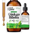 Teinture Ginkgo Biloba sauvage et biologique - Soutien Cerveau et Focus avec supplément de feuille Ginkgo - Teinture d'extrait végétalien, sans sucre et sans alcool - 2 fl oz