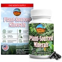 Minéraux d'origine végétale, 60 capsules, minéraux de traces naturels organiques et antioxydants qui soutiennent les systèmes immunitaires et digestifs, Promouvoir la santé optimale. Source et fabrication aux États-Unis