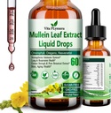 Mullein druppels voor longen, Organische Mullein Leaf Extract voor Lung Detox w. Chlorofyl Vlierbessen Oregano olie Resveratrol Mullein Tinctuur Alcoholvrij, Original Fl/Oz
