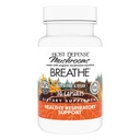 Host Defense Breathe* Capsules - Supplément de champignons immunitaires et respiratoires - Supplément de santé pulmonaire à base de plantes avec Chaga, Reishi & Cordyceps - 30 Capsules (15 portions)*