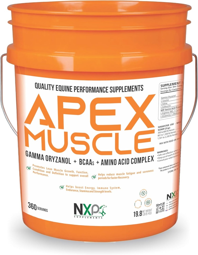 APEX Muscle, Body & Strength Builder for Horses - Energy, Endurance, Uithoudingsvermogen, Herstel Ondersteuning - Gamma Oryzanol BCAA Aminozuren Lysine Carnitine L-Arginine AKG 19,8 lb (360 Servers)