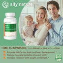 Vegan Prenatal DHA 440mg – Lutéine 20mg pour la grossesse – Multivitamines prénatales non-OGM pour les femmes enceintes- Soutenir le cerveau, les yeux et le cœur sains dans le développement de bébé - 60 Softgels