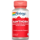SOLARAY Hawthorn Special Formula, 150mg, 90 Tellen
