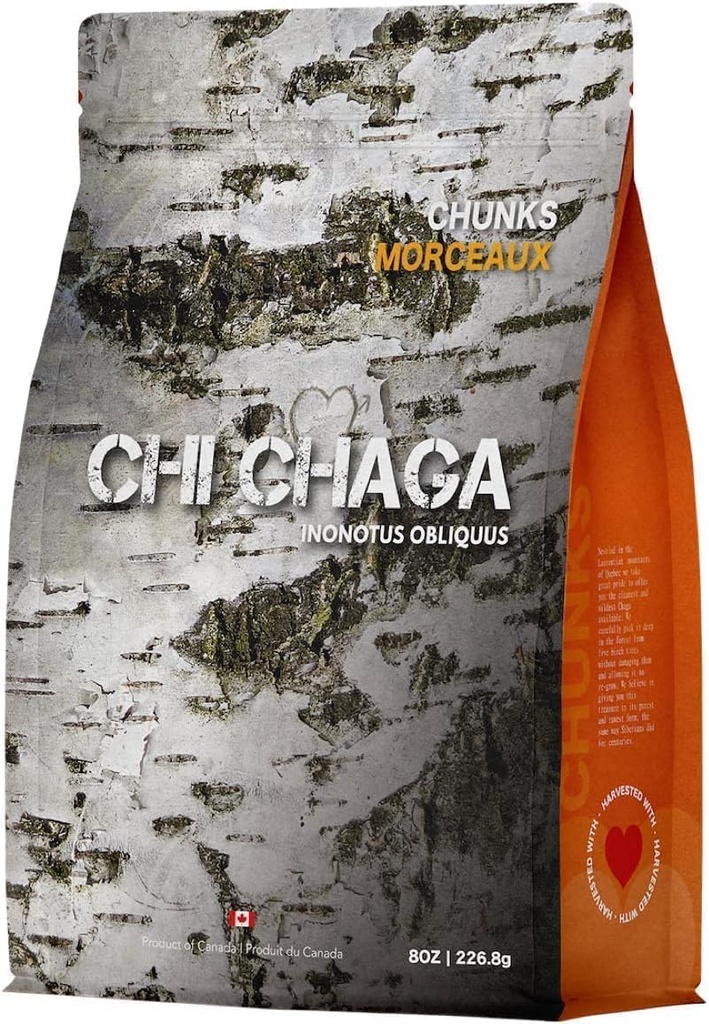 Choux de champignons de Chaga bio de qualité supérieure - 8 oz de thé Chaga canadien authentique 100 % sauvage - Superfood