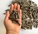 Smart Beet Pellets voor voeding - Paard, Pony, Geit, Rundvee - Goed voor Brain Health en Natuurlijke Zoetstof (12 Ounces)