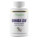 Paradise Kruiden, Banaba Leaf, 12:1 Geconcentreerd Extract, 250 mg, Veganistisch, Glutenvrij, Non-GMO, 180 Capsules