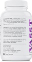 BELDT Labs VASST Nitric oxide Booster, N.O. Supplement met meer dan 3.000 mg Arginine-AKG, OKG, GKG en L-Arginine HCL voor spieropbouw en verbeterde bloedvat - 90 tabletten