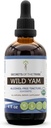 Geheimen van de Stam Wild Yam USDA Organisch 