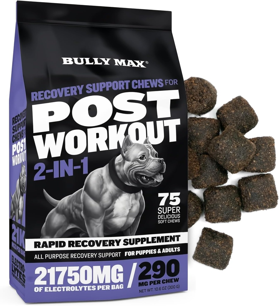 Bully Max 2-in-1 Post-workout Recovery Ondersteuning Kauwen - Hondenvitaminen en voedingssupplement voor kleine en grote rassen - Puppy en volwassen hond Hydration & Electrolyte Replenishment - 75 Zachte en smakelijke Kauwen