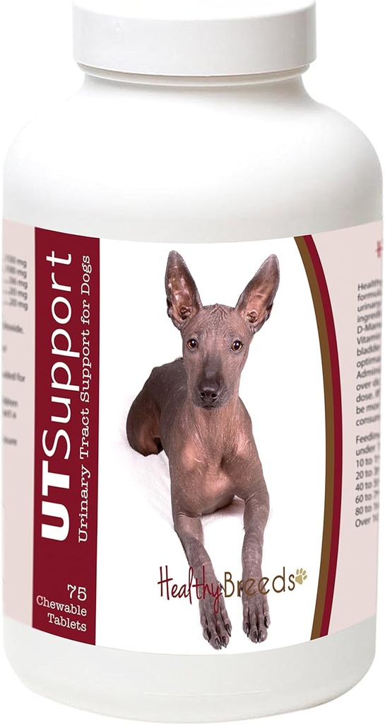 Gezonde rassen Xoloitzcuintli Cranberry kauwtabletten - UT ondersteuning - effectief in het helpen bestrijden van schadelijke bacteriën & voorkomen infectie in de blaas van uw hond - 75 Tel.