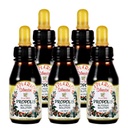 Officiële distributeur - 5 flessen Apiario Silvestre Braziliaanse Green Bee Propolis Liquid Glycolic Extract-Niet Alcoholisch, Wasvrij, Suikervrij (PG)