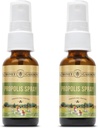 Honing Tuinen Bijen Propolis Throat Spray met Apitherapy Raw Honing, Licorice Root en Usnea 