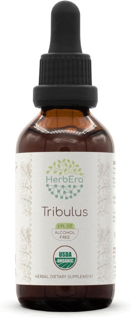 HerbEra Tribulus B60 Extrait à base de plantes sans alcool Teinture, gouttes liquides concentrées Naturel USDA Tribulus biologique (Tribulus Terrestris) Fruits séchés (2 fl oz)