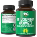 Mitochondria Maximizer met CoQ10 en actieve PQQ. Beste Mitochondriale Ondersteuning Supplement met MCT olie. Natuurlijke Cellular Generator voor schone, gerichte energie 60 Vegetarische Capsules