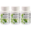 Astragaloside IV 98% de suppléments anti-âge pour le soutien immunitaire adulte 50mg/cap 90 capsules dans 3 bouteilles