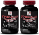 Natuurlijke uithoudingsvermogen Boost - TRIBULUS TERRESTRIS Extract - Sterkte en activiteit ondersteuning, energie-optimalisatie formule, plantaardige kracht, lichaam prestaties mengen, actief herstel, energiestroom 2Bot 180Tabs