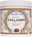 Groei Young Fitness Collageen Proteïne - Melk Chocolade, bevordert huid, botten, gewrichten, gewichtsverlies, suikervrij (12,41 oz) (1 Pack, 20 Servings)