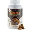 Naturealm Heilig 7 Biologische Paddestoel Extract Capsules - Premium 7 Paddestoel Supplement met Lions Mane, Reishi, Chaga - USDA Biologische Immune Ondersteuning & Focus - 90 Vegetarische Capsules