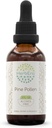 HerbEra Pine Pollen B60 Alcoholvrij Kruidenextract Tinctuur, Geconcentreerde Liquid Drops Natural (Song Hua Fen, Schotten Pine, Pinus Sylvestris) 2 fl oz