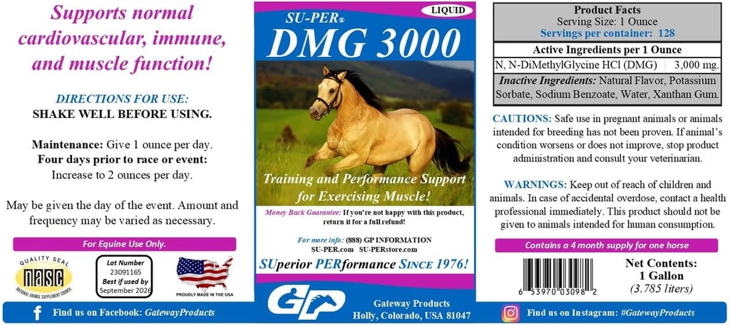 SU-PER DMG 3000 Horse Supplement - Training & Performance Support Liquid - Ondersteunt normale Cardiovasculaire Immuun & Spierfunctie - 1 Gallon, 4 maanden levering