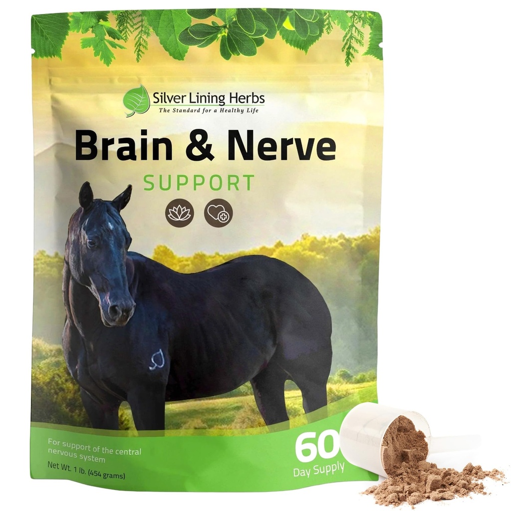 Silver Lining Herbs Brain & nerve Ondersteuningssupplement voor paarden - Paardensupplementen voor focus, geestelijke gezondheid en hersenen ondersteuning - Bevat Herbal Blend van Ginkgo, Gotu Kola, & Meer - 1 lb 60-dag levering