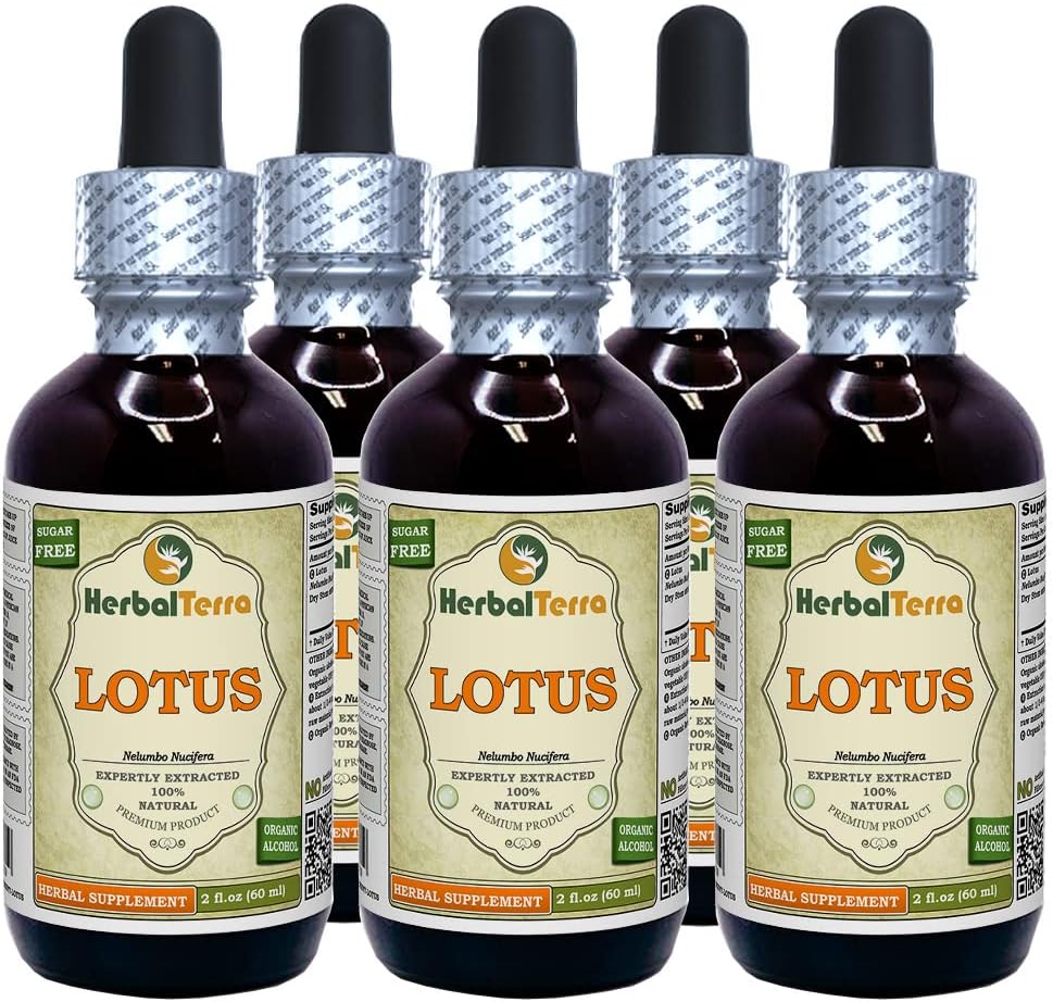 Lotus, Xi Xin (Nelumbo Nucifera) Gedroogde stam Liquid Extract (Brand Name: HerbalTerra, Trots Made in USA) 5x2 oz