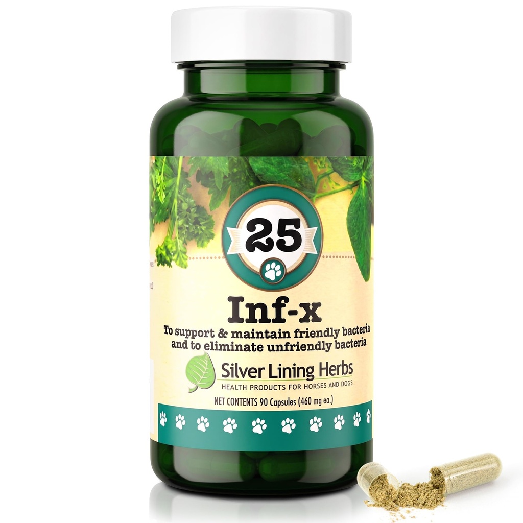 Silver Lining Kruiden 25 Canine INF-X - Helpt handhaven van gezonde spijsverteringsniveaus - Natuurlijke ondersteuning voor normale ontgiftingsproces - Herbal Health Supplement voor honden - 90 capsules