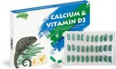 Supplément de reptile de calcium avec supplément de vitamine D3, Idéal pour les dragons, tortues et plus