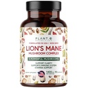 Plant.O Premium Lion's Mane Supplement, All Natural Nootropics Brain Supplement, 5 Paddestoel Complex 