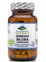 Ginkgo Biloba Capsules Kosher Vegan Caps met 400 mg Ginkgo Biloba Leaf en Ginko Extract Supplement