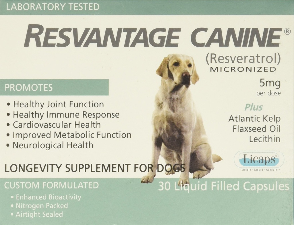 Revantage Canine