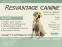 Canine de remplacement