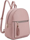 Montana West Meisjes Rugzaktas Cadeaus voor kinderen Anti Diefstal Rugzak met Beveiligde Zipper & Tassel