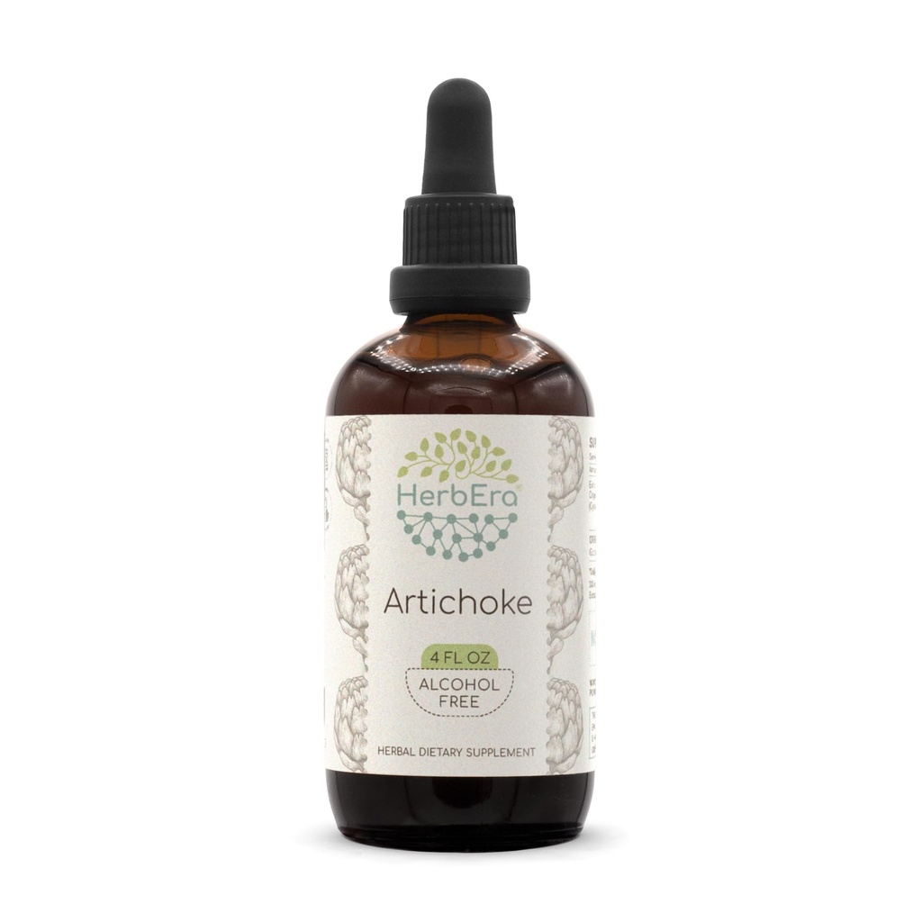 HerbEra Artichoke B120 Alcoholvrij Kruidenextract Tinctuur, Geconcentreerde Liquid Drops Natural Artichoke (Cynara scolymus) (4 fl oz)