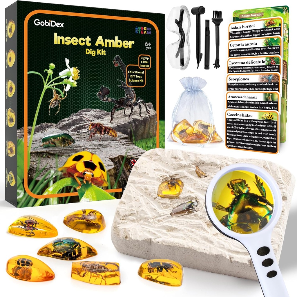 GobiDex Amber Dig Kit-artificial Insect Resin, Excavation 6 Insectes Specimens, STEM Geographic Educational Bugs Jouets, Jouets d'excavation pour les Bugs Fun Favors, Kits scientifiques pour les enfants Age 6-8 8-12